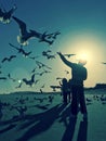 Woman feeding the birds on Tybee Island - GEORGIA - USA Royalty Free Stock Photo